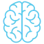 brain